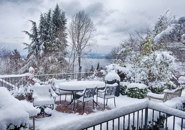 After the snow in Seattle